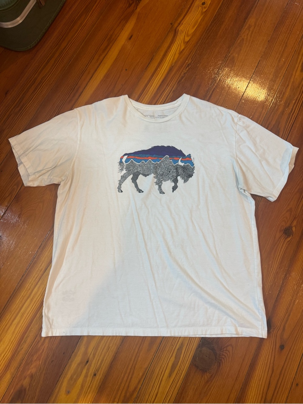 Patagonia White Short-Sleeve Buffalo Graphic Tee with Blue and Red Accent